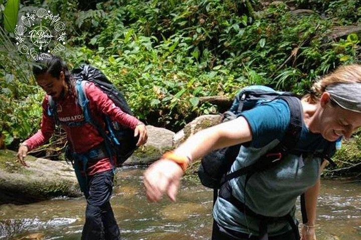 Ciudad Perdida "Teyuna" 4 Days Tracking Tour