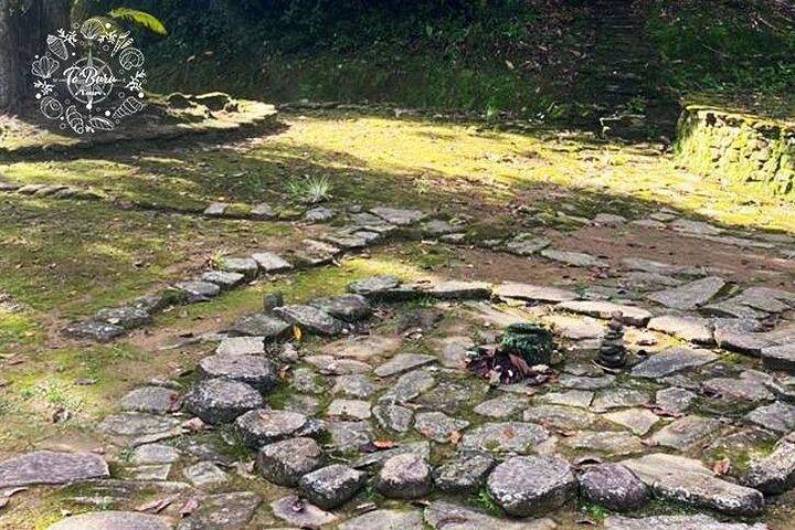 Ciudad Perdida "Teyuna" 4 Days Tracking Tour