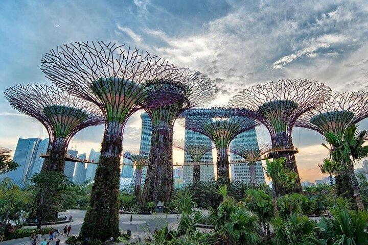 Privat heldags tur til Singapores højdepunkter