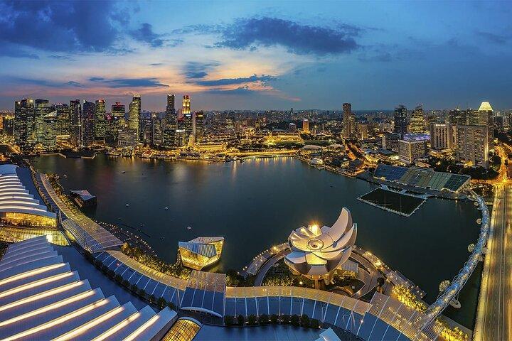 Tour privado: Museo Nacional de Singapur y Singapore Flyer and Ducktour