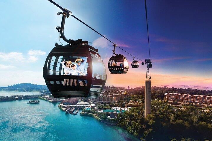 Tour privado: Museo Nacional de Singapur y Singapore Flyer and Ducktour