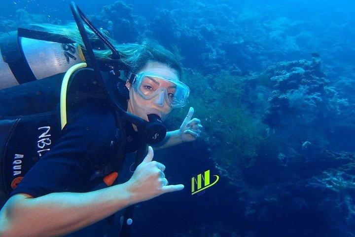 難破船とコーラル ガーデンでの認定ダイバー向けトランベン プライベート ファン ダイブ