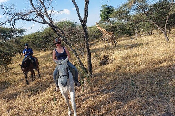 Safari a caballo en Maun en Private Game Lodge