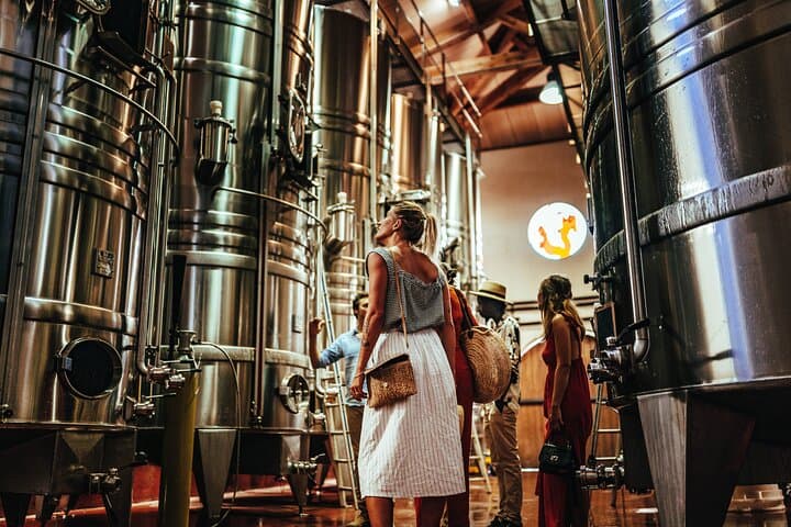 Provence Wine Tour - Small Group Tour from Cannes