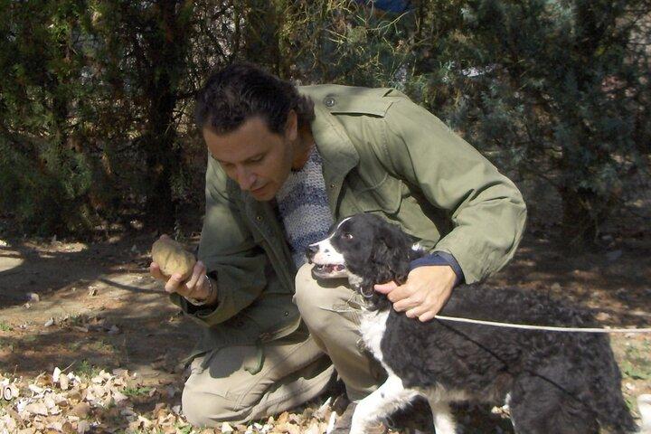 Truffeljacht en proeverij in San Miniato Toscane met honden