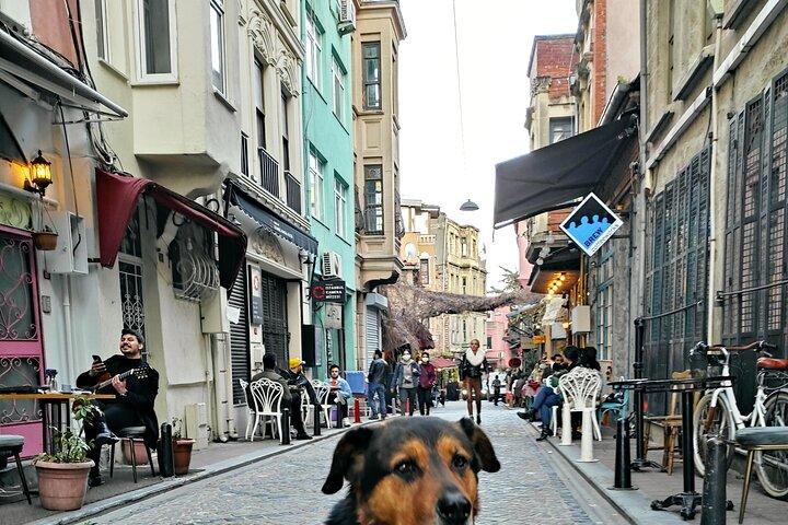 終日イスタンブール ピエール ロティとバラト ギリシャ遺産ツアー