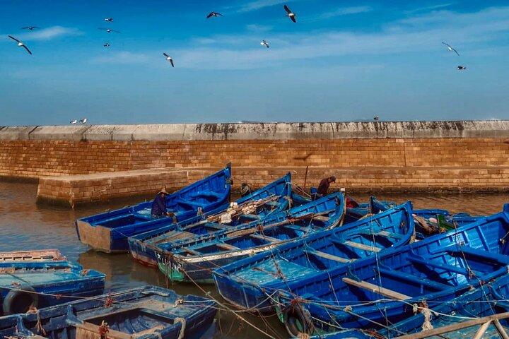Day Trip to Essaouira