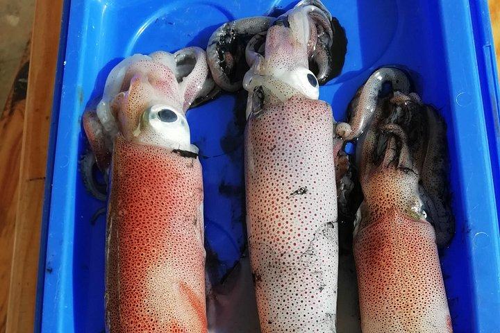 ザダル:サンセット フィッシング ツアー