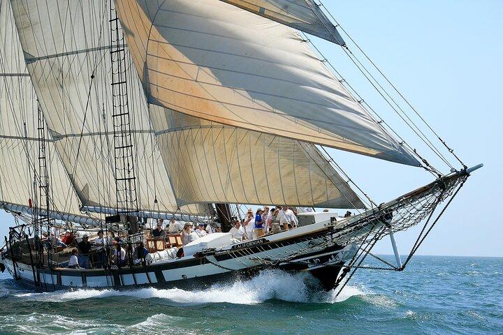 Tall Ship Adventure a bordo della Schooner Californian con ammissione generale
