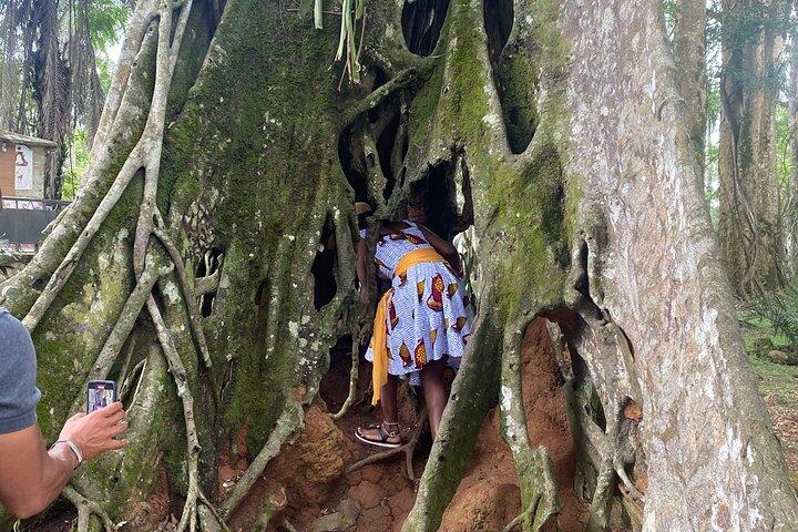 Privérondleiding door Aburi Hill