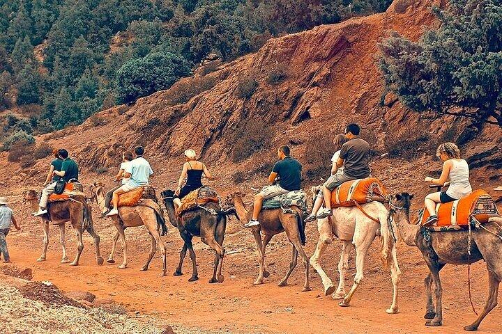 Premium Atlas Mountains & Berber Village Day Trip with Camel Ride
