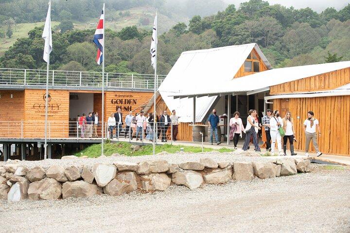Wine Tour and Tasting