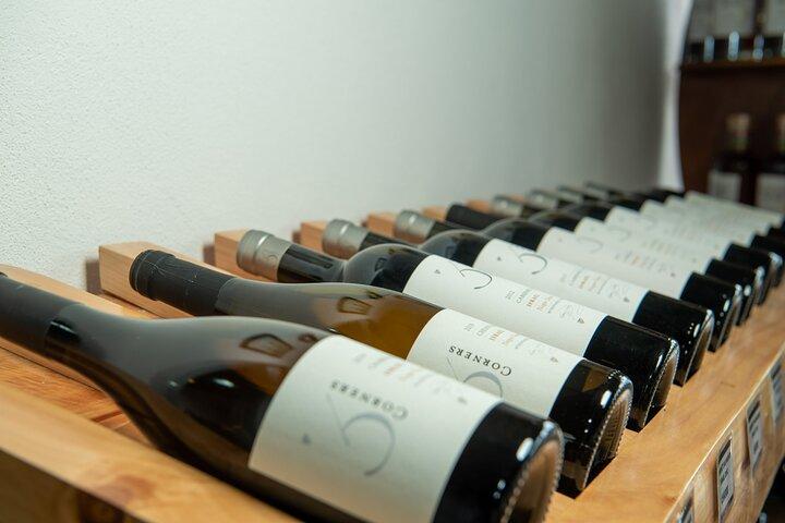 Wine Tour and Tasting
