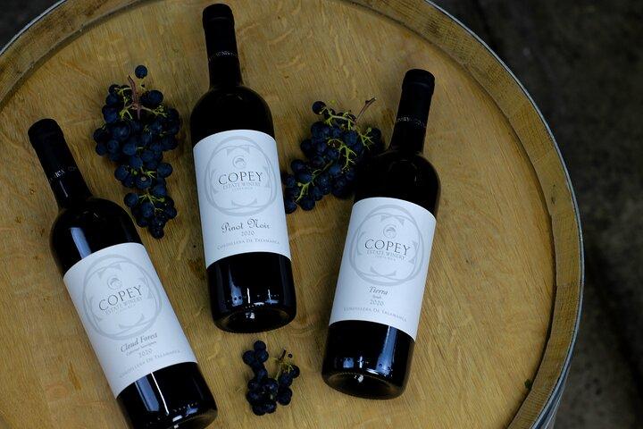 Wine Tour and Tasting
