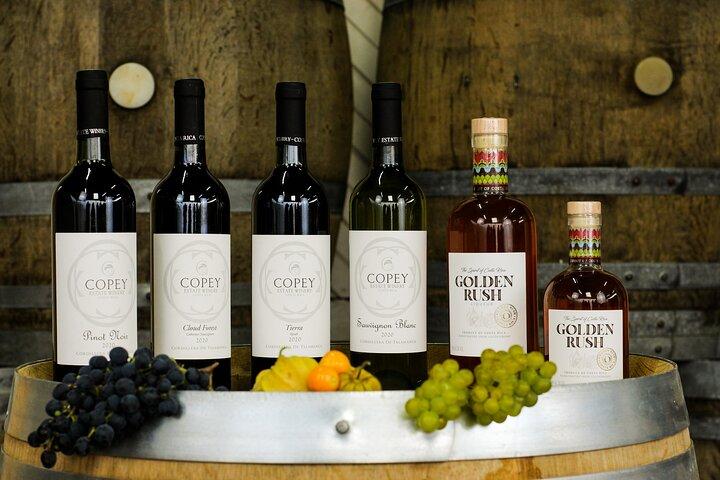 Wine Tour and Tasting