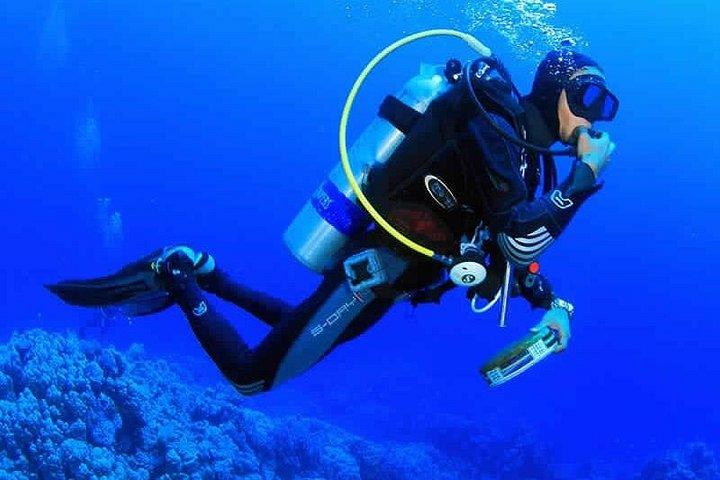 シャルムエルシェイクからのボートでのティラン島ダイビング日帰り旅行