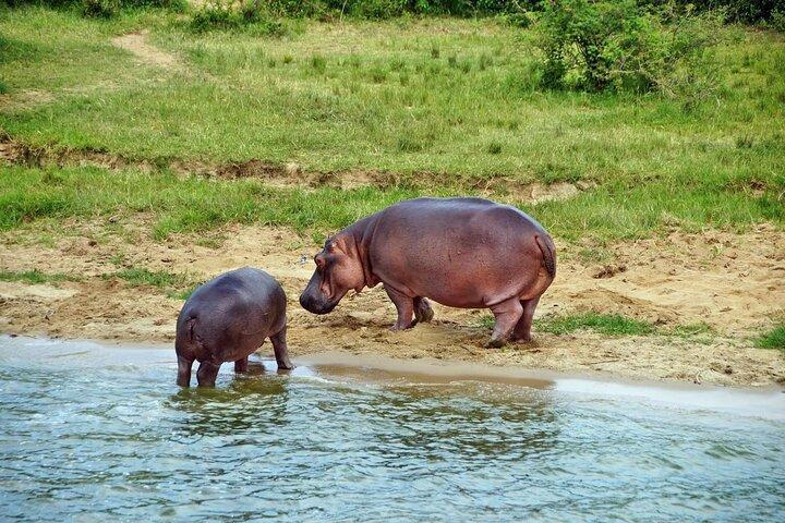 Safari privado de 3 dias para o Parque Nacional Queen Elizabeth em Uganda
