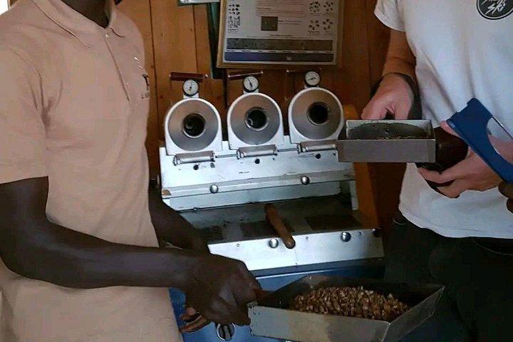 コーヒーファームツアー、コーヒー焙煎、試飲体験