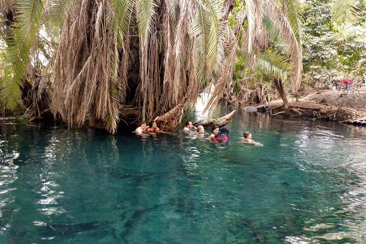 Privat rundtur till Materuni vattenfall, kaffetur och Kikuletwa Hot Springs