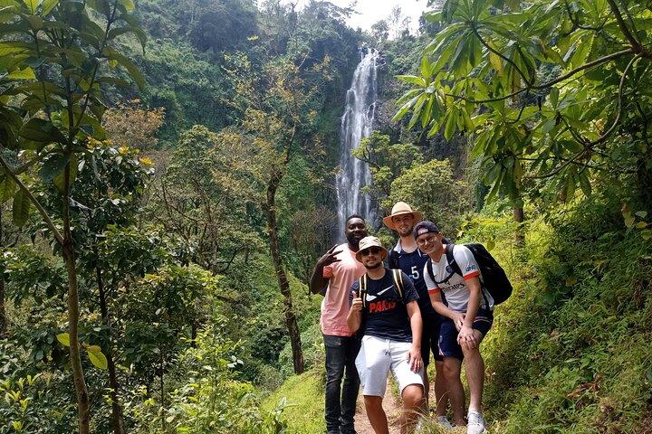 Private Tour to Materuni waterfalls, coffee tour & Kikuletwa hot- springs