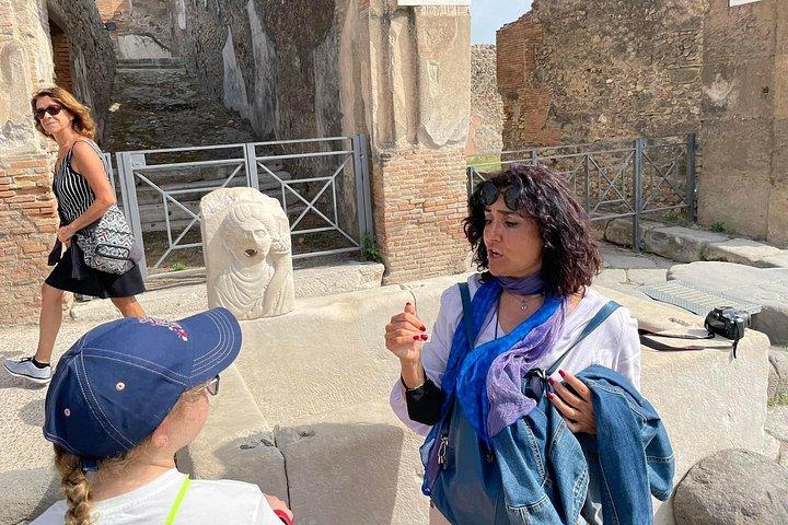 ローマからポンペイへの日帰り旅行、ヴェスヴィオ山と現地ガイド付き