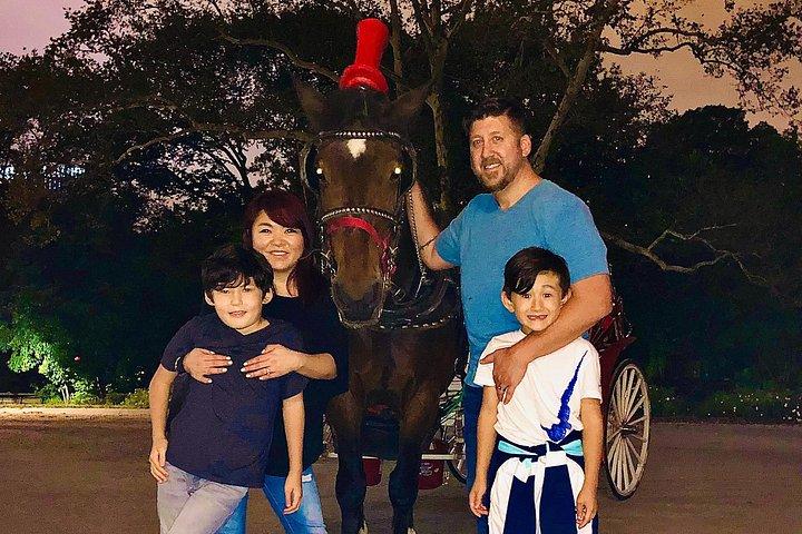 セントラルパーク・ムーンライト・ツアー（写真付き）（45分）～列をとばす