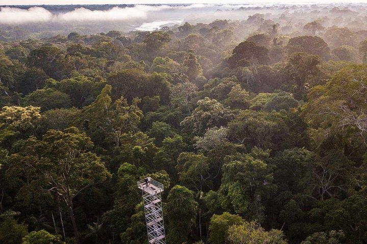 Rainforest Peru 3 dagars rundtur
