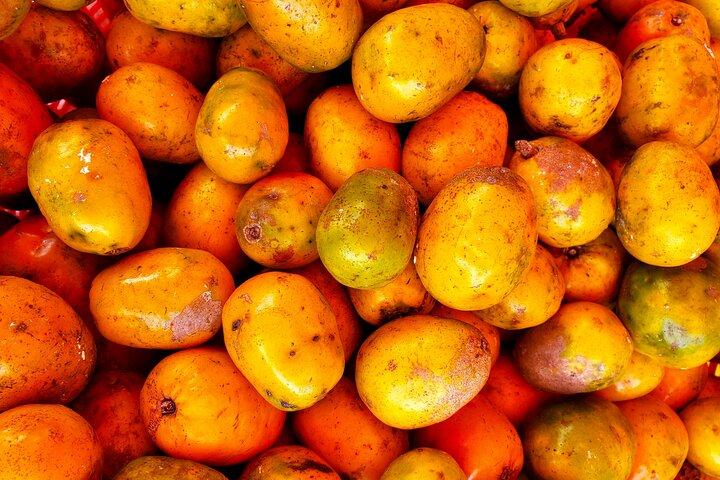 Medellín Street Food Tour
