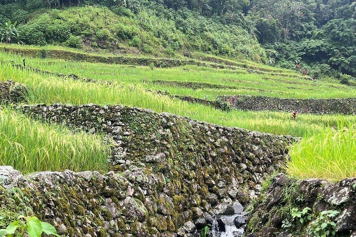 Visite guidée de Batad