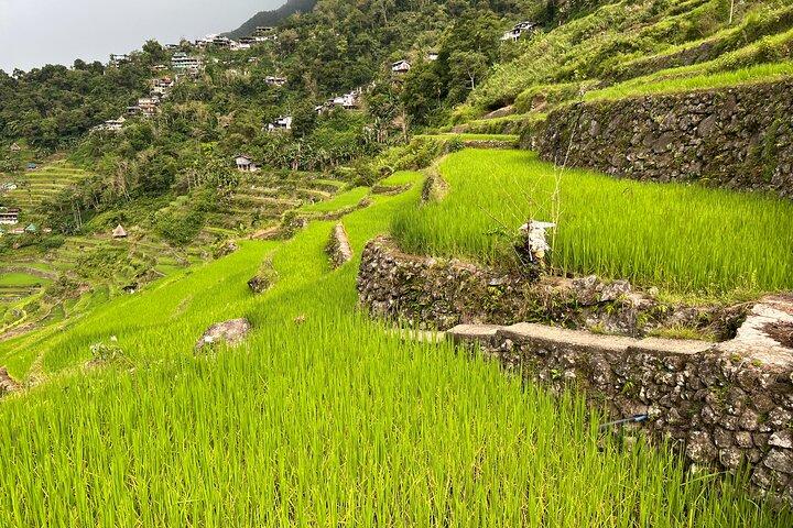 Visite guidée de Batad