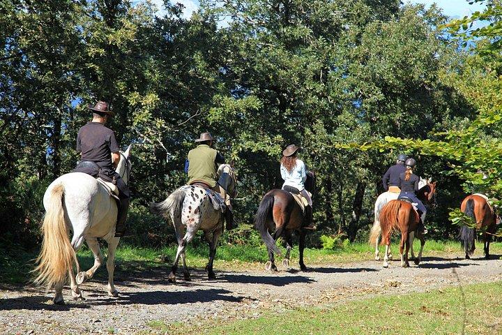 ウンブリア：ウンブリアの田園地帯での乗馬とランチ