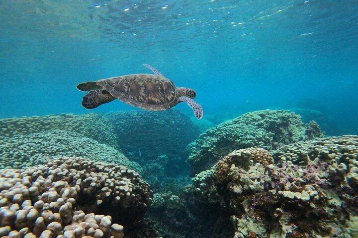 Viaje compartido de snorkel en las islas de Daymaniyat