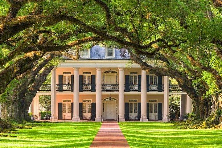 Oak Alley Plantation Tour med hotel afhentning fra New Orleans