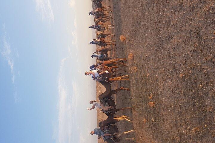 Agafay Desert Dinner And Sunset with spectacle