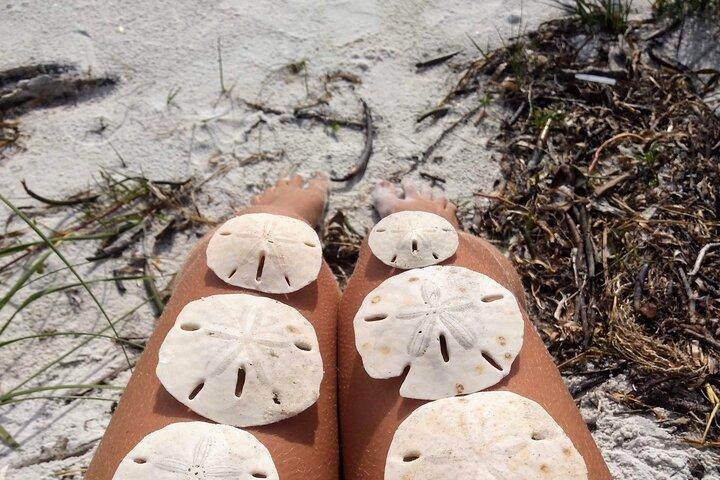 Drie uur durende beschietingscruise naar Shell Key Preserve vanaf John's Pass