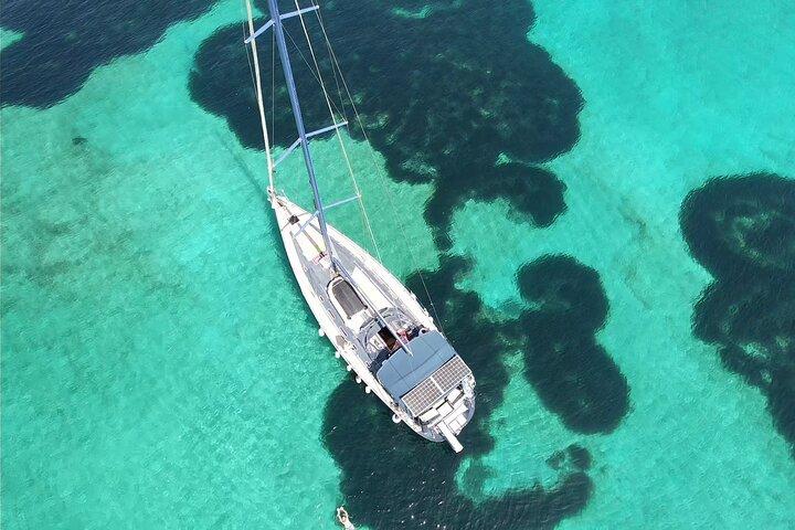 アテネの水上レストラン：ギリシャ風のセイル＆テイスティング