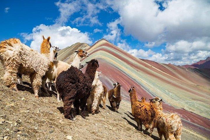 Vinicunca Rainbow Mountain Trekking Tour da Cusco