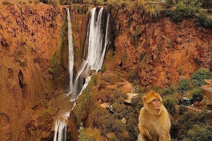 From Marrakech: Ouzoud Waterfalls Guided Hike and Boat Trip