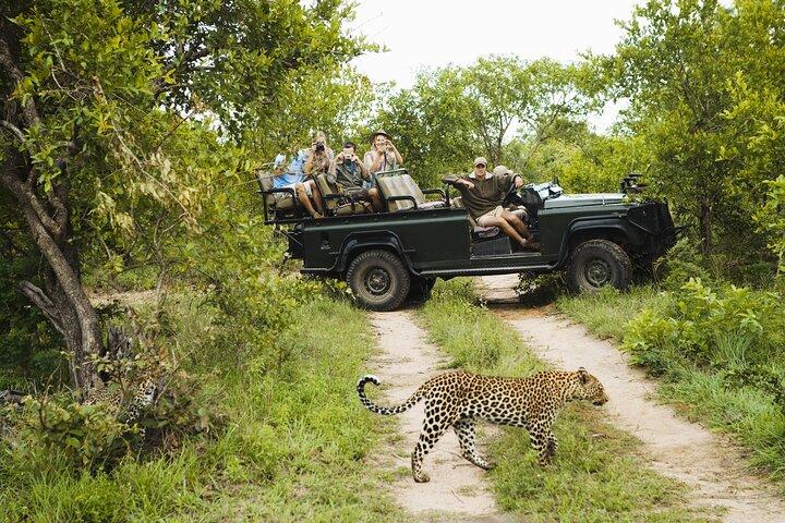 BIG 5 Kruger Full Day Safari com tudo incluído de Hazy View