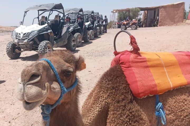 1/2-Day: Agafay Desert Buggy/Quad Bike From Marrakech