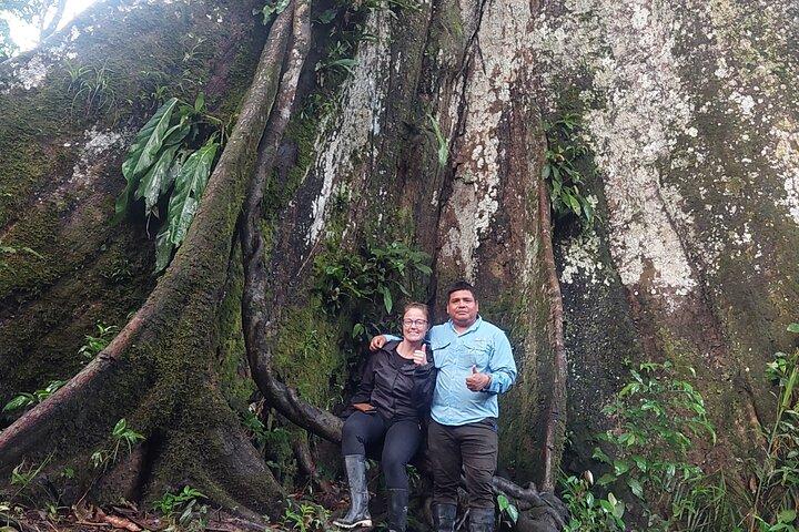 Amazon wildlife explorations 3 days 2 night