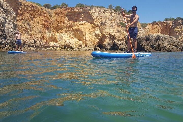 Excursions en kayak et Ocean Sup