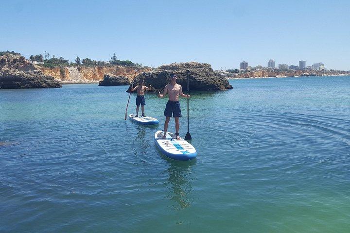 Ocean Sup and kayak tours