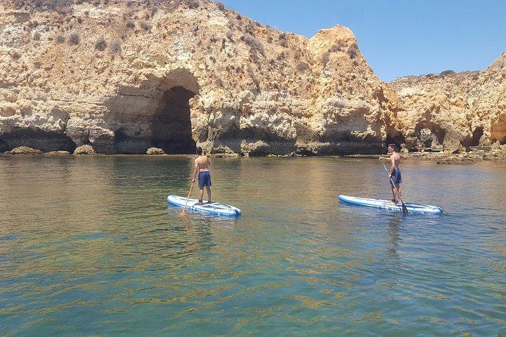 Ocean Sup and kayak tours
