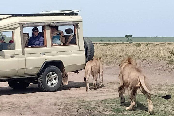Kenya Safari 7 dagar 6 nätter
