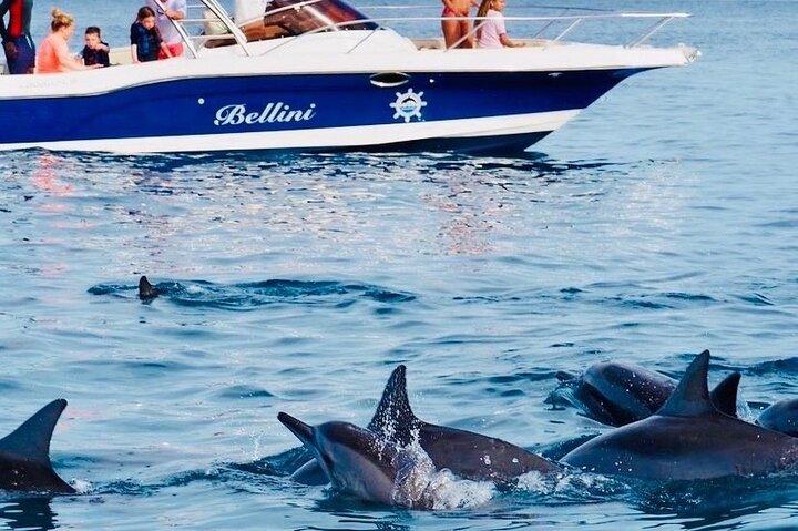Excursão de dia inteiro: encontros com golfinhos, Crystal Rock na ilha de Benitiers