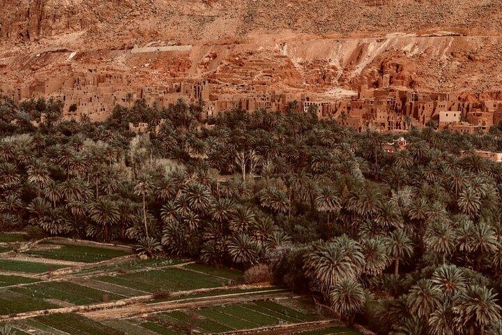 Day Trip to Ouarzazate and Ait Ben Haddou