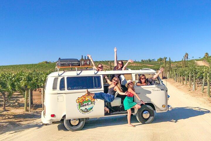 VW Bus 2 - Stop Wine Tour Temecula - Retro Cali Vibrationen
