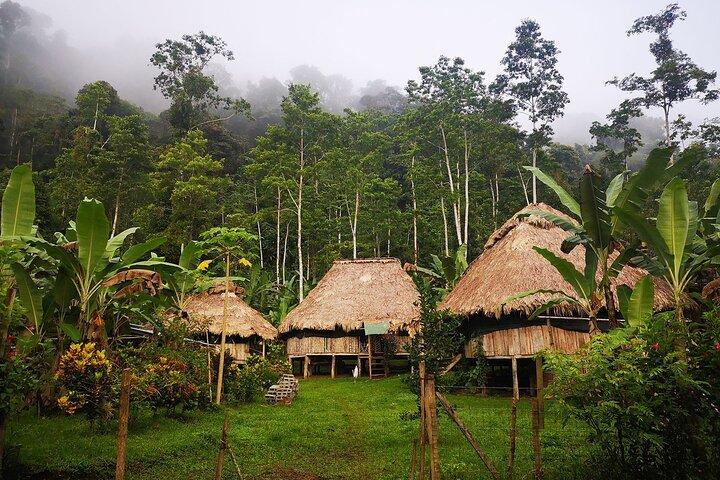 BriBri Indigenous Village Chocolate Tour, Cahuita och vattenfall