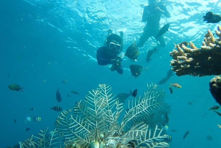 USAT Liberty Shipwreck Karangasem Baliでのトランベンシュノーケリング